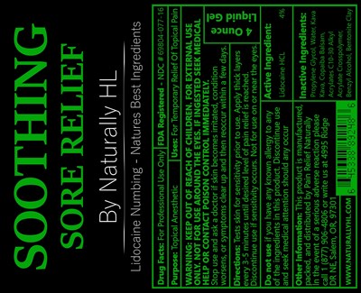 principal display panel - principal display panel